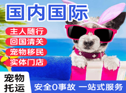 鄂托克旗乌兰机场邮寄国际宠物托运 【国